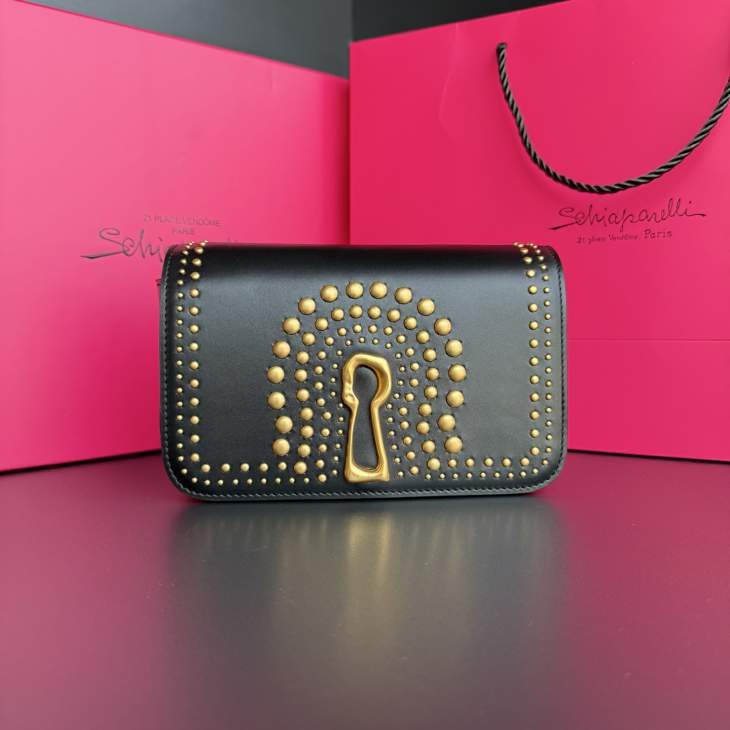 Picture of Schiaparelli Handbags _SKUfw236180890fw